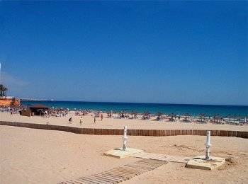 Playa de La Zenia (Bosque)