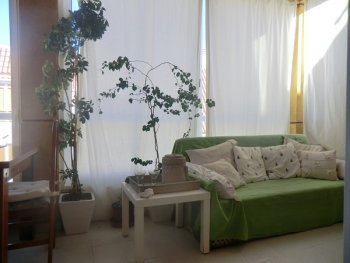 Apartamento con piscina y 150 m la playa (3)