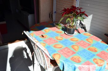 Alquiler de vivienda por semanas para vacaciones en la playa (5)