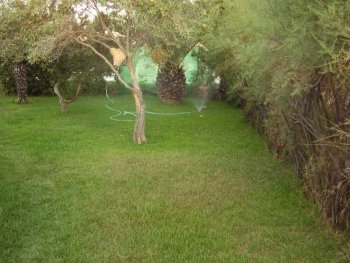 Alquiler chalet,tipo villa (5)
