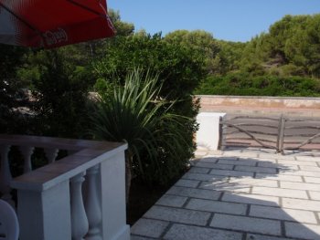 terraza y parking