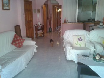 Apartamento con terraza a 50mts de la playa (4)