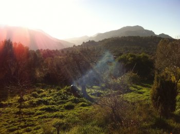 Finca en entorno natural con posibilidad de alquilar una o dos cas (2)