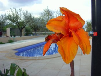 Preciosa casa rural de 3 hab. con piscina (2)