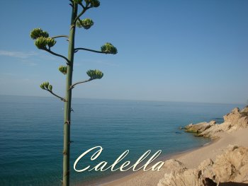 Apartamento vacacional la en calella de mar/barcelona (4)