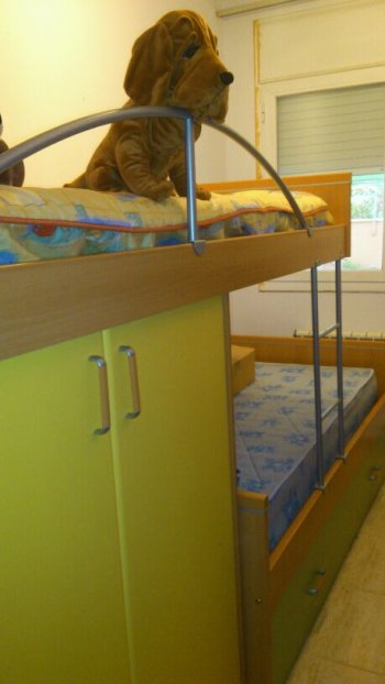 habitacion con litera grande