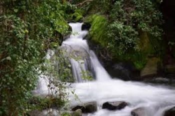 VALLE DEL JERTE APARTAMENTO (6)