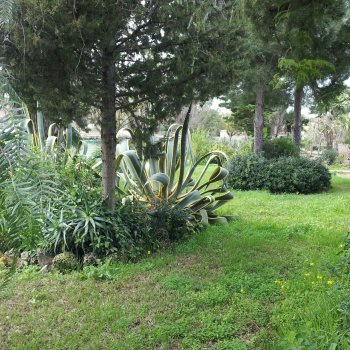 Chalet, muy tranquilo pqra disfrutar de tus vacaciones (7)