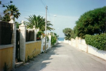 calle