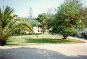jardin