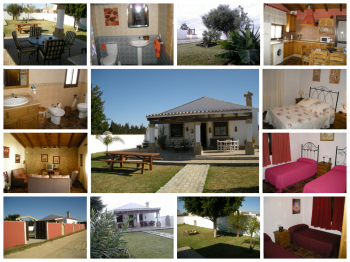 Conil chalet en el colorado (5)