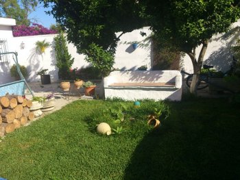 el jardin