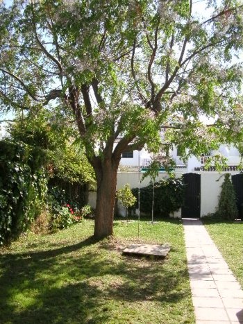 Chalet adosado en Valdelagrana (4)