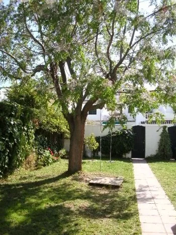 Chalet adosado en Valdelagrana (4)
