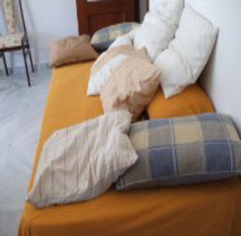 Alquiler valdelagrana (6)