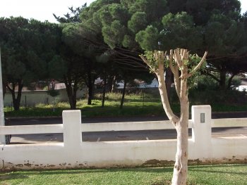 Apartamento en playa de la barrosa. chiclana. (3)