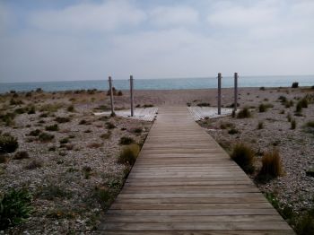 paseo de madera