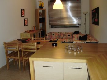 Duplex en alquiler vacacional (7)