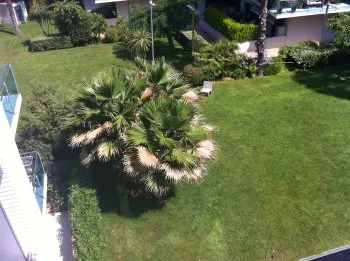 Apartamento con piscina para 6 personas (5)
