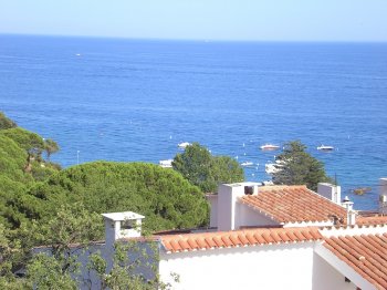 Vistas desde terraza