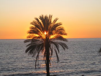 Costa tropical (7)