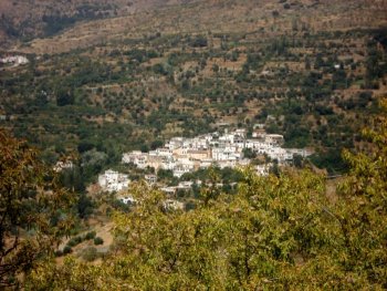 Casa de campo en la alpujarra (7)