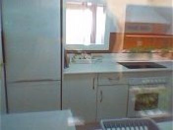 Cocina: frigo combi,vitro,campana,microondas,horno, cafetera, y otros