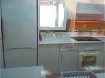 Cocina: frigo combi,vitro,campana,microondas,horno, cafetera, y otros