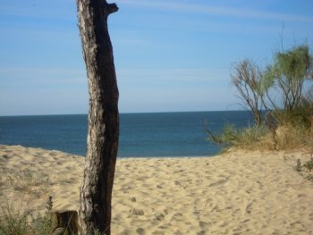 Acceso a la playa