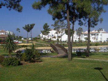 parque de pinos y lago dentro de la urbanización
