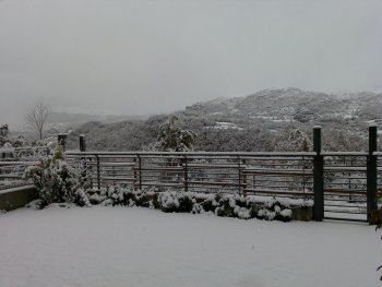 jardin en invierno