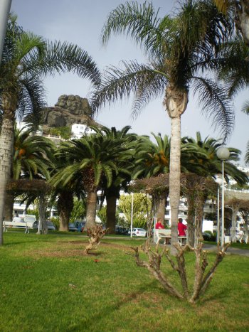Parque Puerto Rico