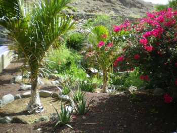 jardin