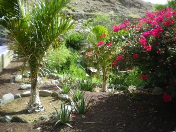 jardin