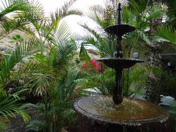 jardin botanico con fuente