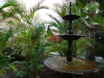 jardin botanico con fuente