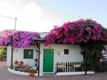 Apartamento Rural La Buganvilla (7)
