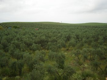 Casa rural el roco