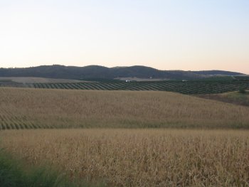 Chalet en parcela de 1000 m2 (3)