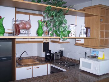 Bonito apartamento con vistas al mar y solarium con barbacoa (3)