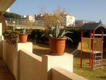 Terraza