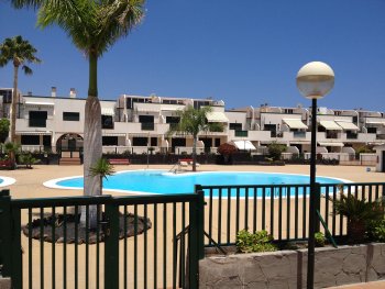 Los geranios (6)