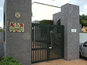 Los geranios (2)