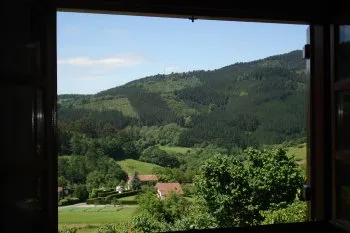 vistas