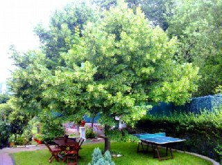 Chalet de dos plantas con Barbacoa, Piscina y Jardin privados en un enclave natural  diferente.