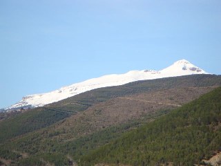 Vistas