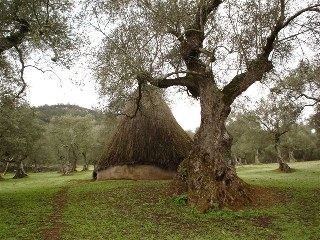 Casa de pueblo en ENCINASOLA (Huelva) Sierra de Huelva (5)