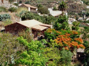 casa los pinos (2)