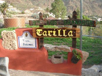 casa los pinos (3)