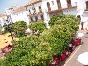 Vistas a la plaza de los naranjos